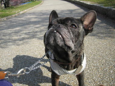 ４・・・おやつ頂戴