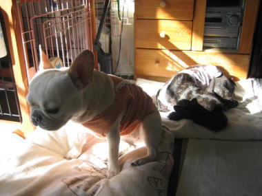 ２３・・・どいて５