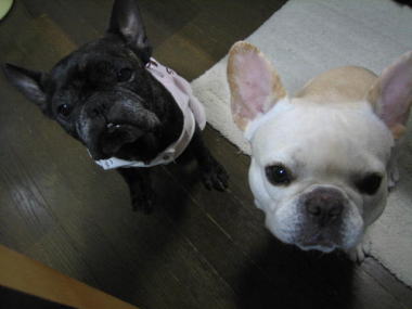 ５・・・あさごはん