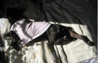 ２３・・・華麗なる・・・