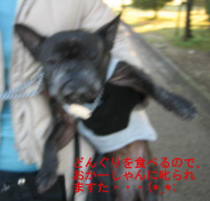 拉致されますた