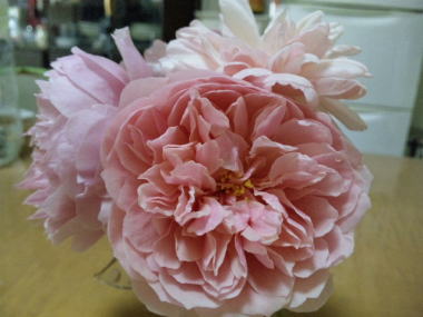 １・・・アルン