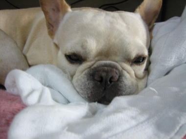 １・２１・・・愛