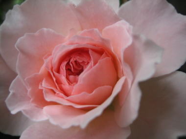 １５・・・ラジオタイムス２