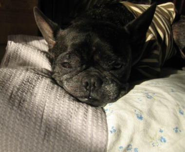 ２１・・・ねむい１