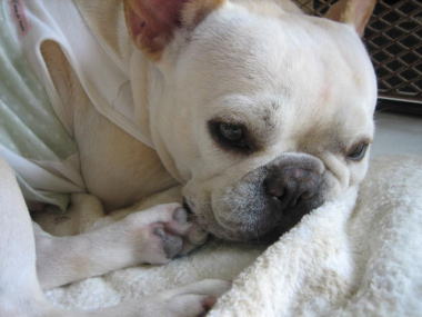 ２１・・・ねむい２