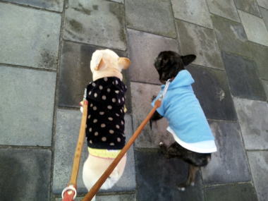 ２１・・・おさんぽ