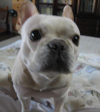 ３・・・心配２