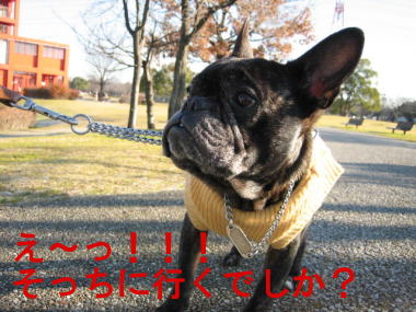 ９・・・お散歩２