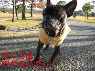 ９・・お散歩３