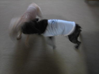 ３・・・なかよし１