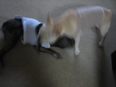 ３・・・なかよし２