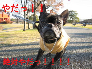 ９・・・お散歩４