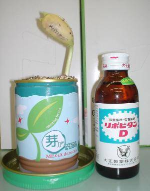 芽が出る缶2