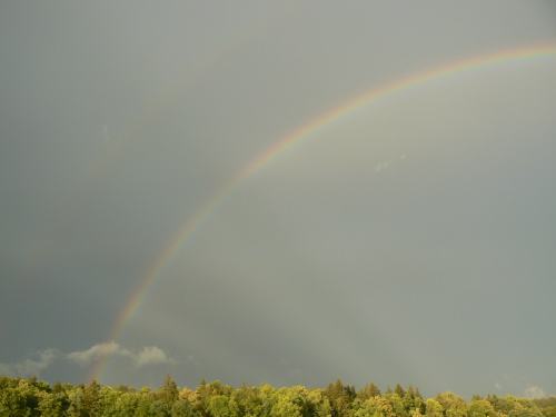 RegenbogenR