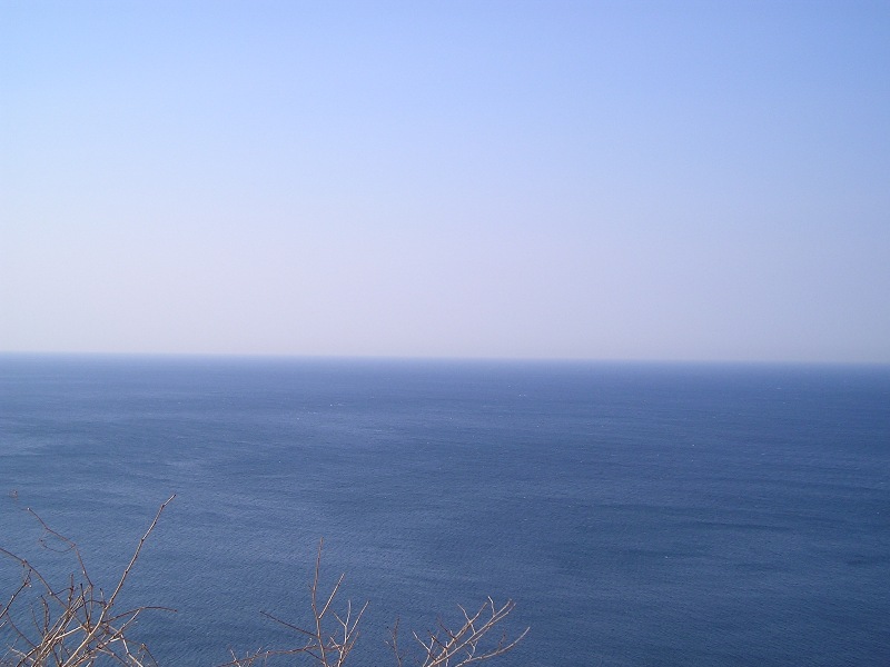 青い青い海