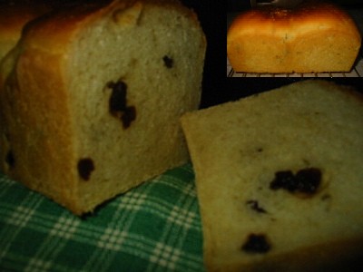1/23sakekasu-koubo-raisen