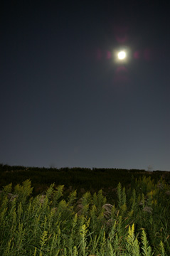 061007-9.jpg