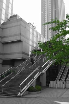 IMGP3759.jpg