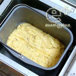 090520 ホームベーカリーでパウンドケーキ-焼く前の状態