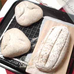 自家製酒粕酵母 ライ麦種で ハードブレッド -焼きに入る直前の状態