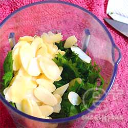 スライスアーモンドとシソの葉をミルミキサーに入れて粉砕する前の状態