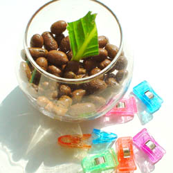 セントポーリアの葉挿し・ハイドロカルチャー仕立て