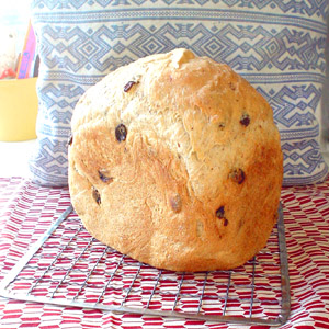 たっぷりレーズン食パン1