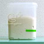 ホシノ丹沢酵母でオレンジ食パン - タッパーで一次発酵完了時