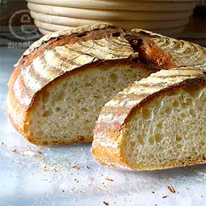 自家製酒粕酵母でストレートなカンパーニュ-スライス断面