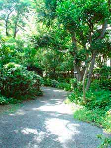 050828駒場公園7-和の庭のこみち