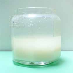 101029 酒粕酵母液種リフレッシュ ブクブクが収まる