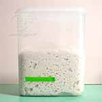 一次発酵終了時-約2.5倍に（自家製酒粕酵母でストレートなカンパーニュ）