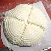 焼く直前（自家製酒粕酵母でストレートなカンパーニュ）