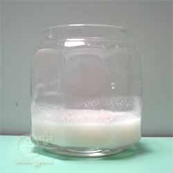 101026 自家製酒粕酵母 液種 リフレッシュ作戦