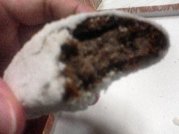 中はこんな感じ