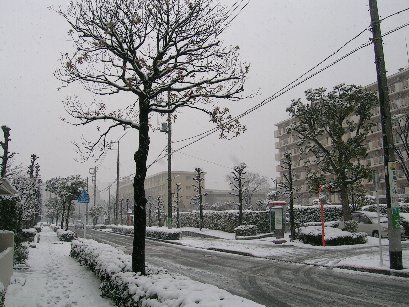 雪景色