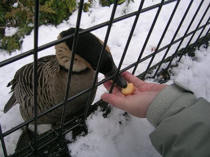 おいしいなぁ～♪
