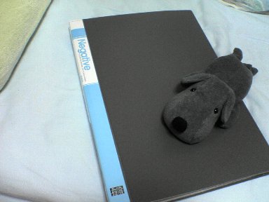 フツーのファイルです