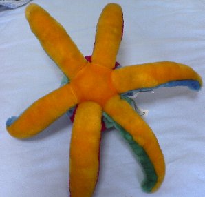 裏から見たら…