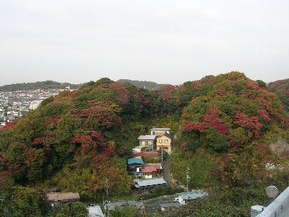 キレイですよね～