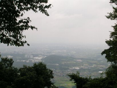山頂からの景色