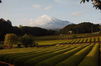 230507午後5時11分(富士山ライブカメラ(富士市茶畑カメラ).