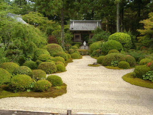 龍潭寺(本堂)24-25