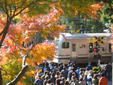 紅葉と電車