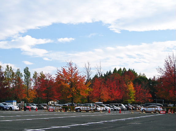 水元公園