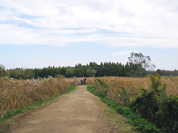 水元公園