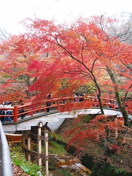 河鹿橋