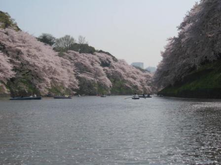 千鳥ヶ淵