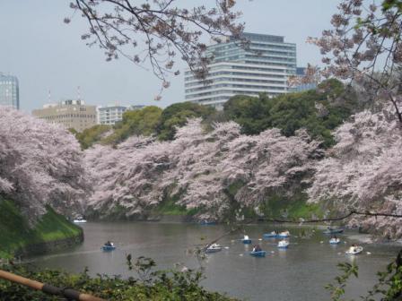 千鳥ヶ淵